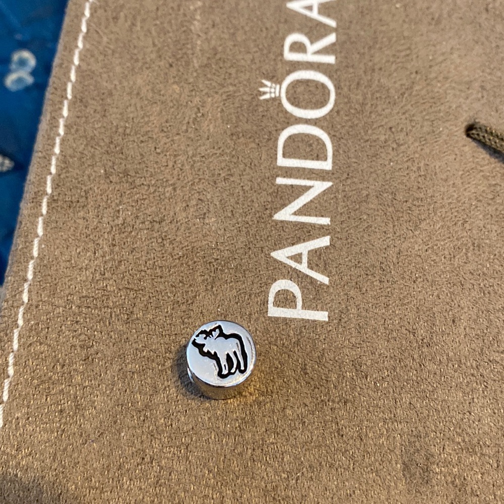 Pandora Charm